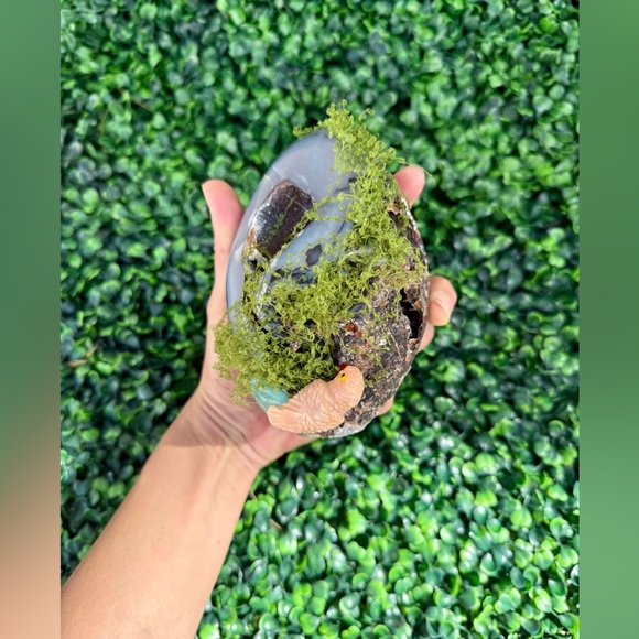 Parrot carving on Agate Geode - Picture 5 of 7